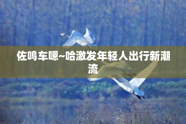 佐鸣车嗯~哈激发年轻人出行新潮流