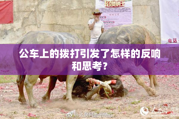 公车上的拨打引发了怎样的反响和思考？