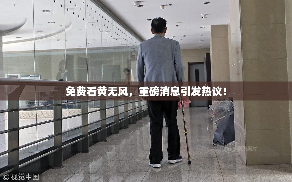免费看黄无风，重磅消息引发热议！