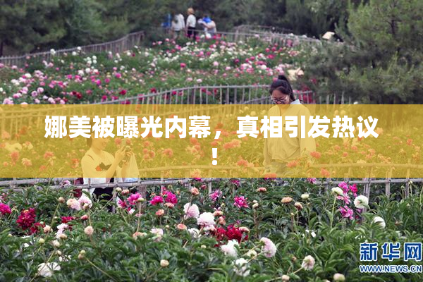 娜美被曝光内幕，真相引发热议！