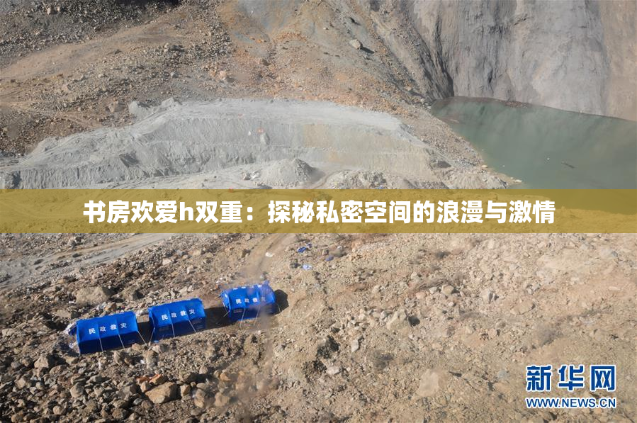 书房欢爱h双重：探秘私密空间的浪漫与激情
