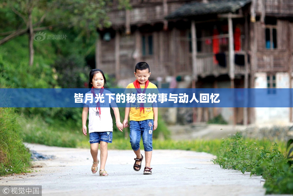 皆月光下的秘密故事与动人回忆