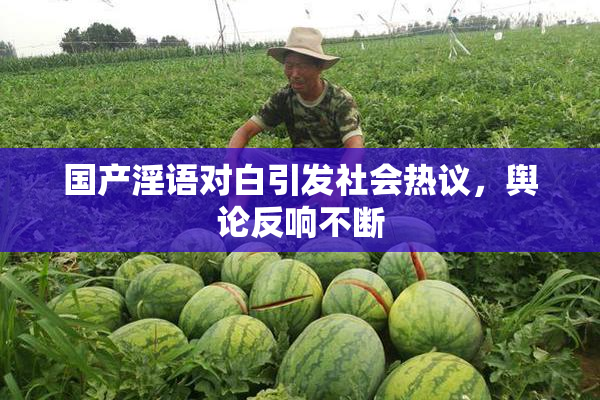 国产淫语对白引发社会热议，舆论反响不断