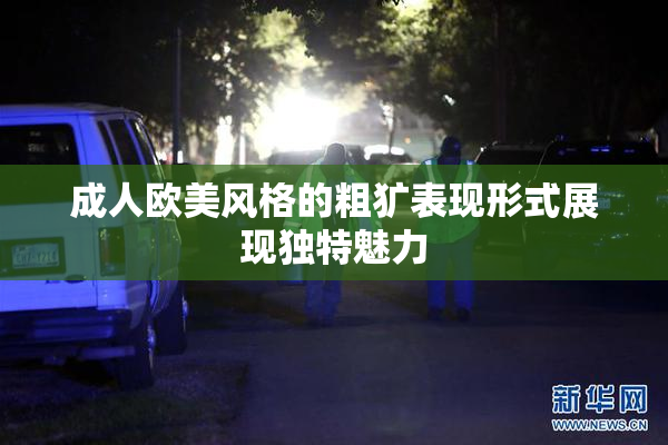 成人欧美风格的粗犷表现形式展现独特魅力
