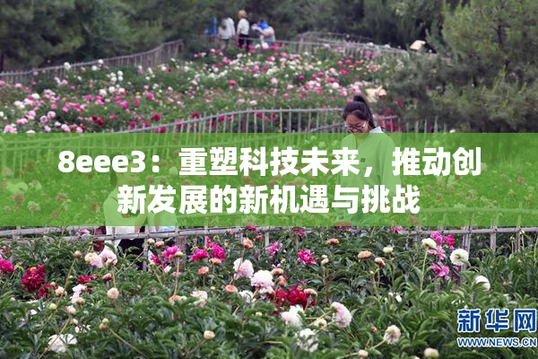 8eee3：重塑科技未来，推动创新发展的新机遇与挑战