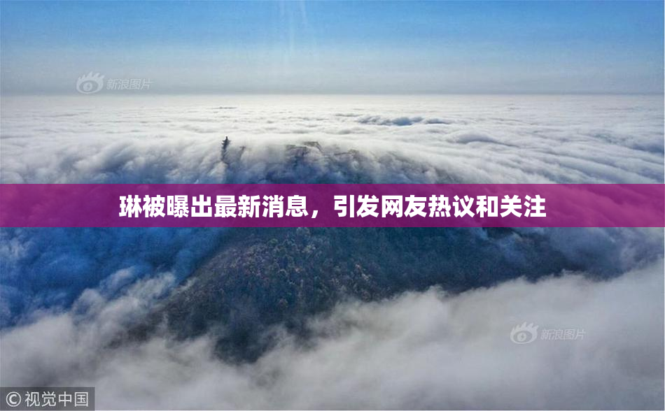 琳被曝出最新消息，引发网友热议和关注