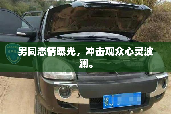 男同恋情曝光，冲击观众心灵波澜。