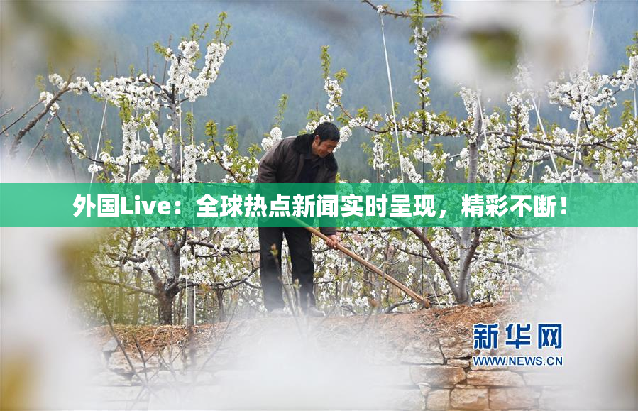 外国Live：全球热点新闻实时呈现，精彩不断！