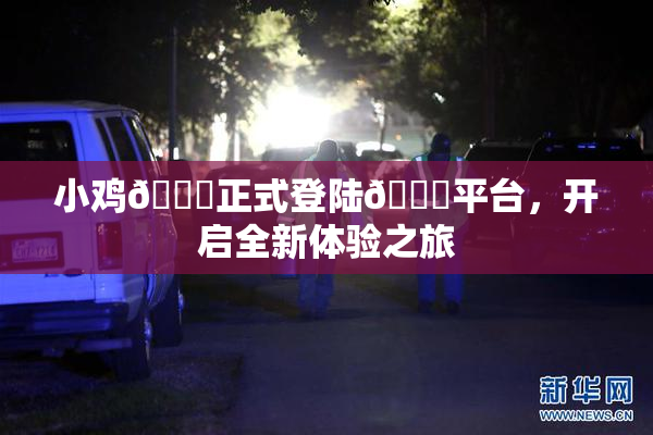 小鸡🐔正式登陆🍑平台，开启全新体验之旅