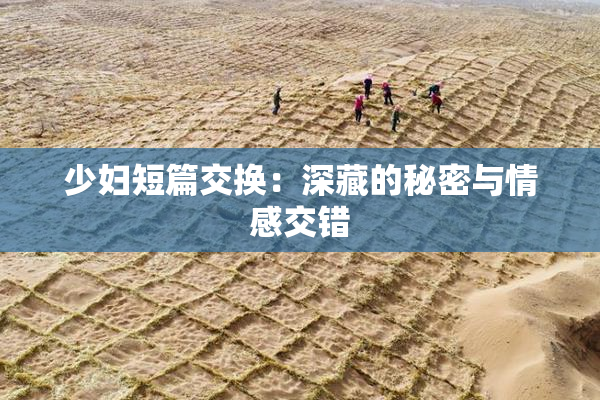 少妇短篇交换：深藏的秘密与情感交错