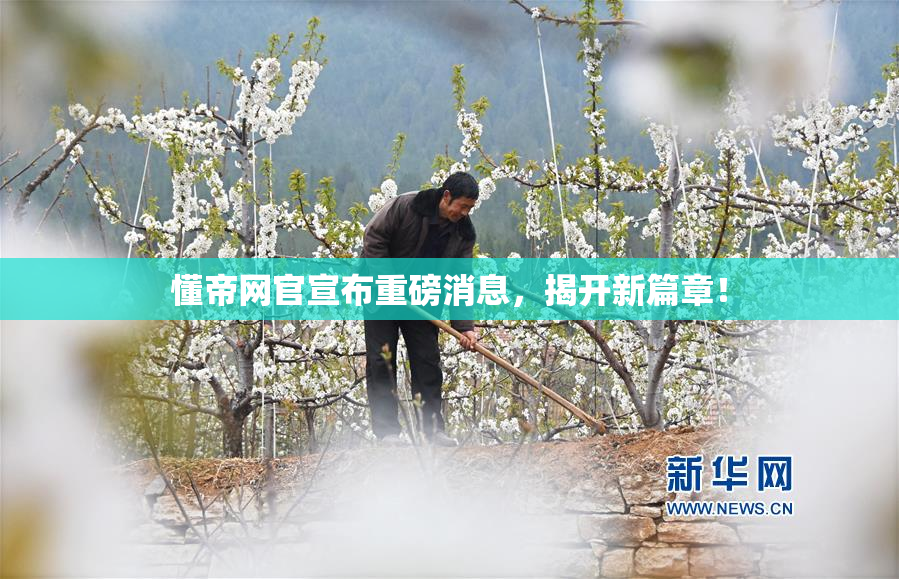 懂帝网官宣布重磅消息，揭开新篇章！