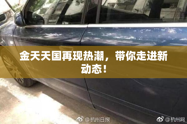 金天天国再现热潮，带你走进新动态！