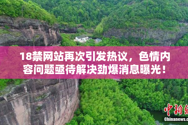 18禁网站再次引发热议，色情内容问题亟待解决劲爆消息曝光！