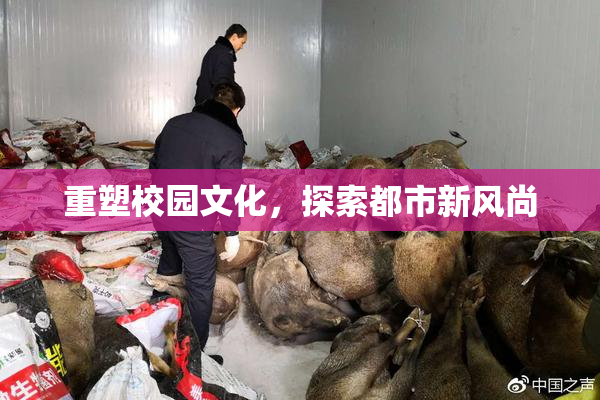 重塑校园文化，探索都市新风尚