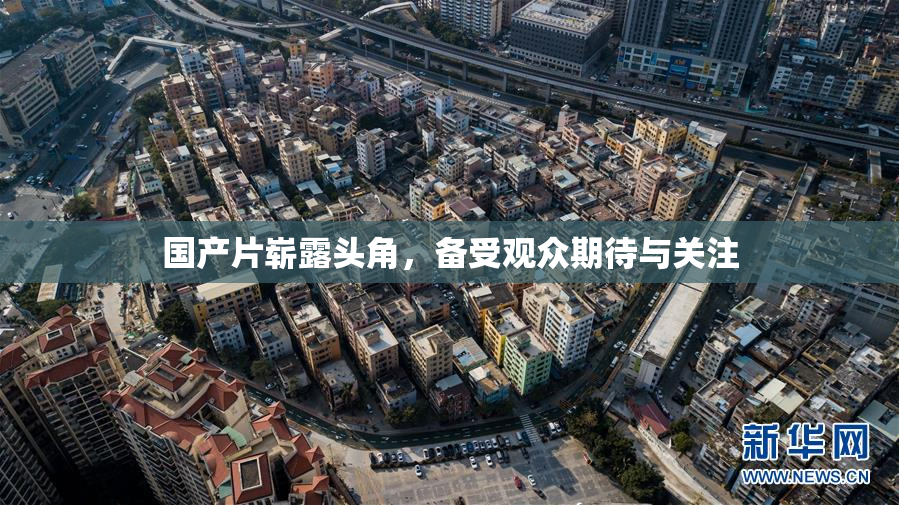 国产片崭露头角，备受观众期待与关注
