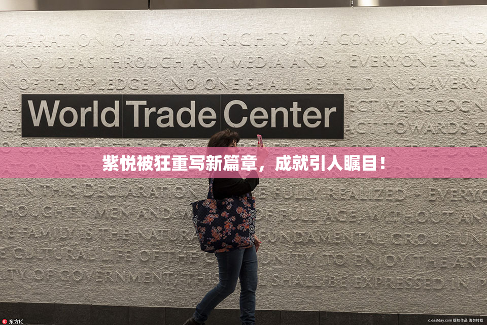 紫悦被狂重写新篇章，成就引人瞩目！