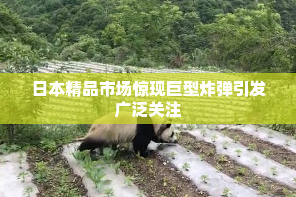 日本精品市场惊现巨型炸弹引发广泛关注