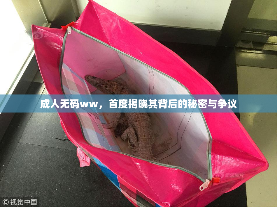 成人无码ww，首度揭晓其背后的秘密与争议