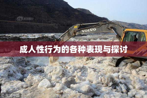 成人性行为的各种表现与探讨