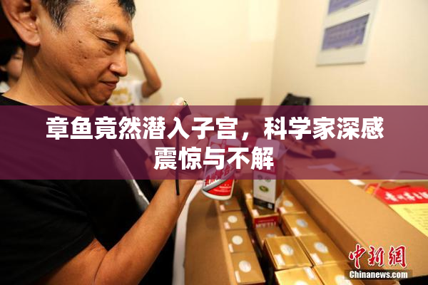 章鱼竟然潜入子宫，科学家深感震惊与不解