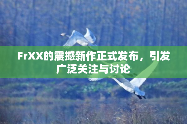 FrXX的震撼新作正式发布，引发广泛关注与讨论