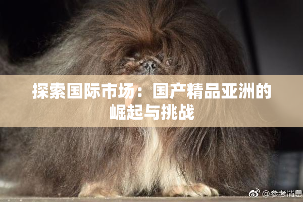探索国际市场：国产精品亚洲的崛起与挑战