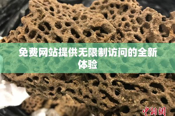 免费网站提供无限制访问的全新体验