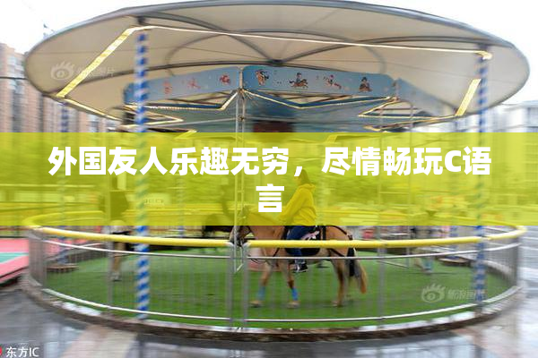 外国友人乐趣无穷，尽情畅玩C语言