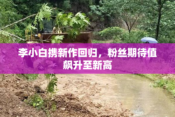 李小白携新作回归，粉丝期待值飙升至新高