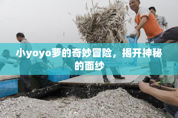 小yoyo萝的奇妙冒险，揭开神秘的面纱