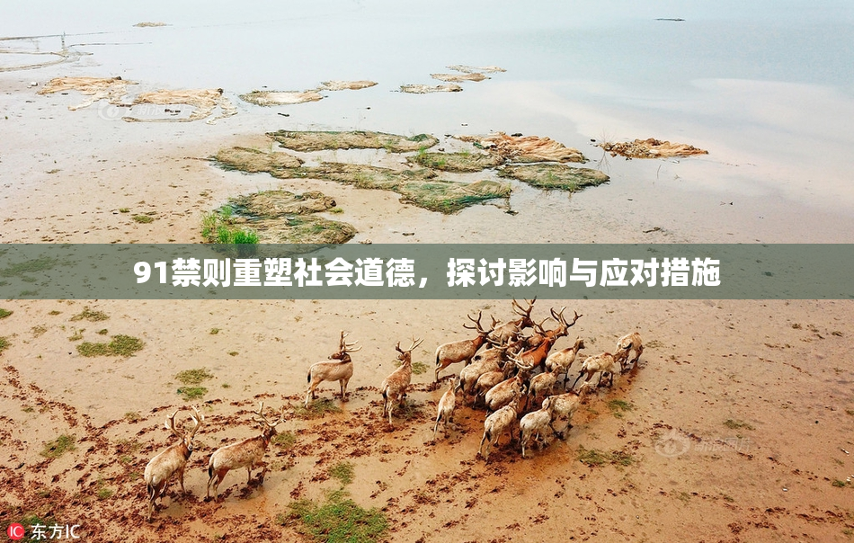 91禁则重塑社会道德，探讨影响与应对措施