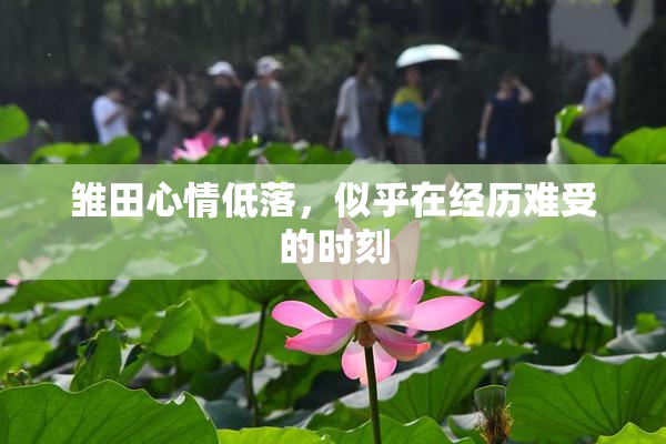 雏田心情低落，似乎在经历难受的时刻