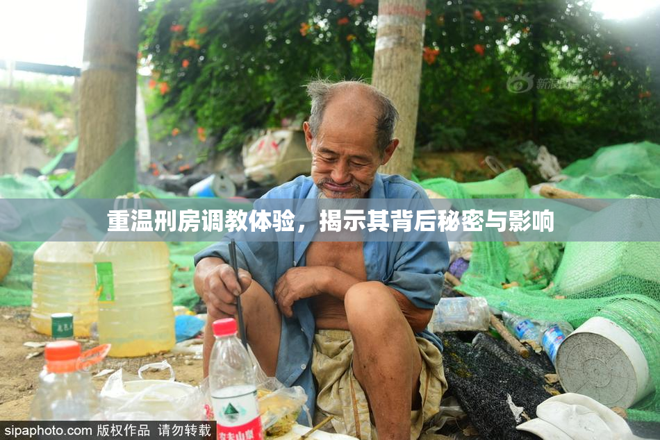 重温刑房调教体验，揭示其背后秘密与影响