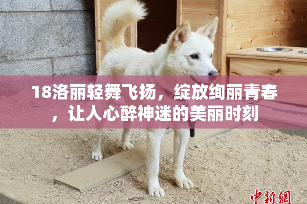 18洛丽轻舞飞扬，绽放绚丽青春，让人心醉神迷的美丽时刻
