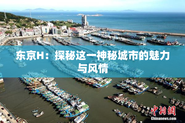 东京H：探秘这一神秘城市的魅力与风情