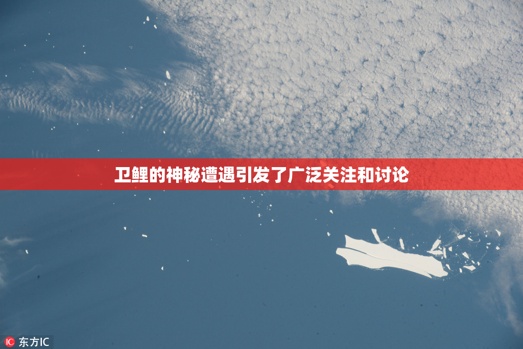 卫鲤的神秘遭遇引发了广泛关注和讨论