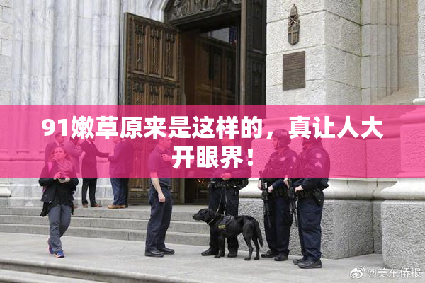 91嫩草原来是这样的，真让人大开眼界！