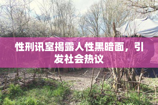 性刑讯室揭露人性黑暗面，引发社会热议