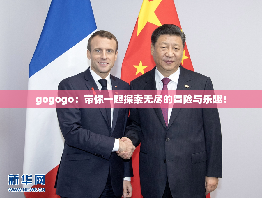 gogogo：带你一起探索无尽的冒险与乐趣！
