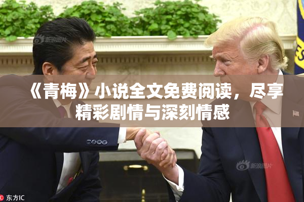 《青梅》小说全文免费阅读，尽享精彩剧情与深刻情感