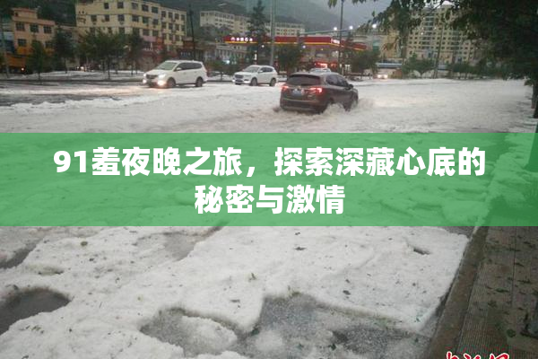 91羞夜晚之旅，探索深藏心底的秘密与激情