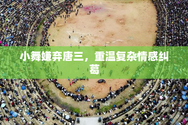 小舞嫌弃唐三，重温复杂情感纠葛
