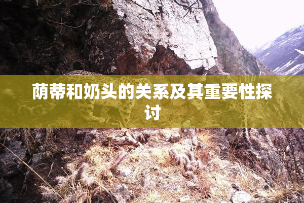 荫蒂和奶头的关系及其重要性探讨