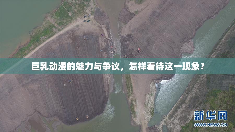巨乳动漫的魅力与争议，怎样看待这一现象？