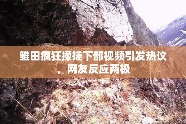 雏田疯狂揉搓下部视频引发热议，网友反应两极