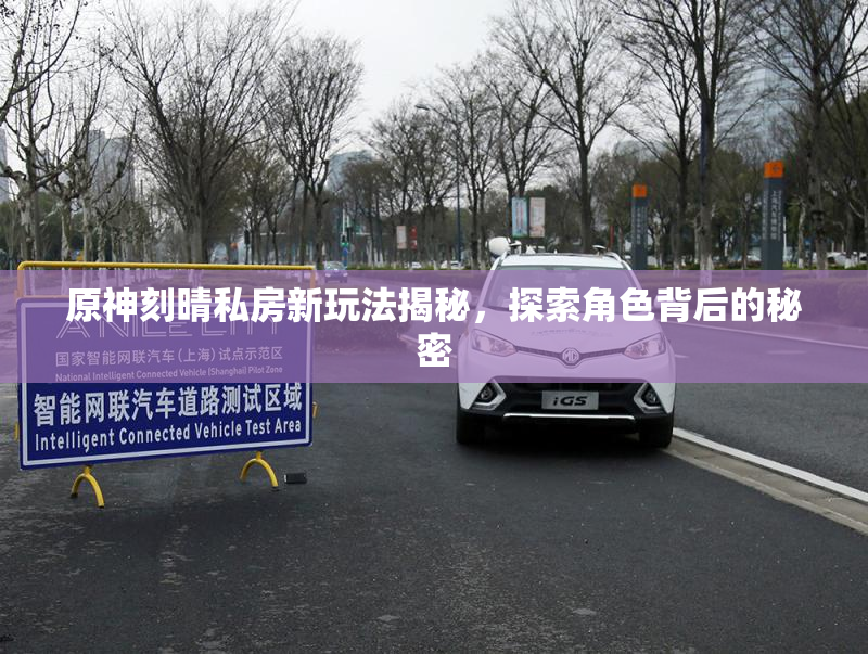 原神刻晴私房新玩法揭秘，探索角色背后的秘密