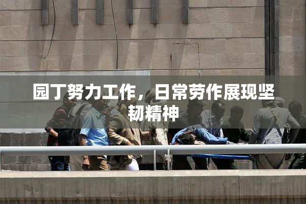 园丁努力工作，日常劳作展现坚韧精神