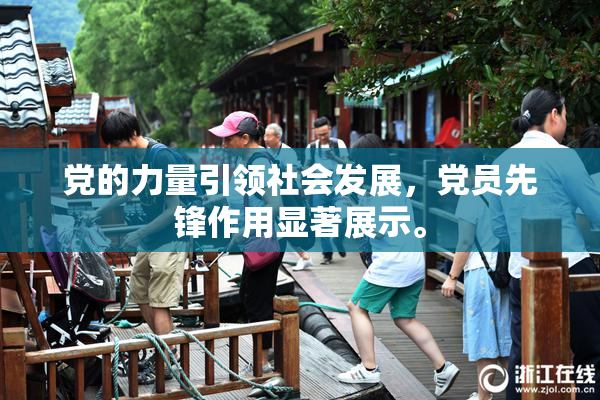 党的力量引领社会发展，党员先锋作用显著展示。
