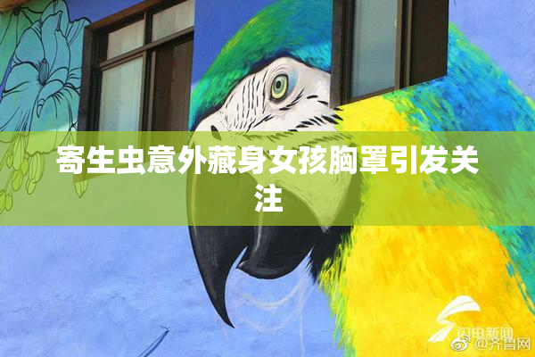 寄生虫意外藏身女孩胸罩引发关注