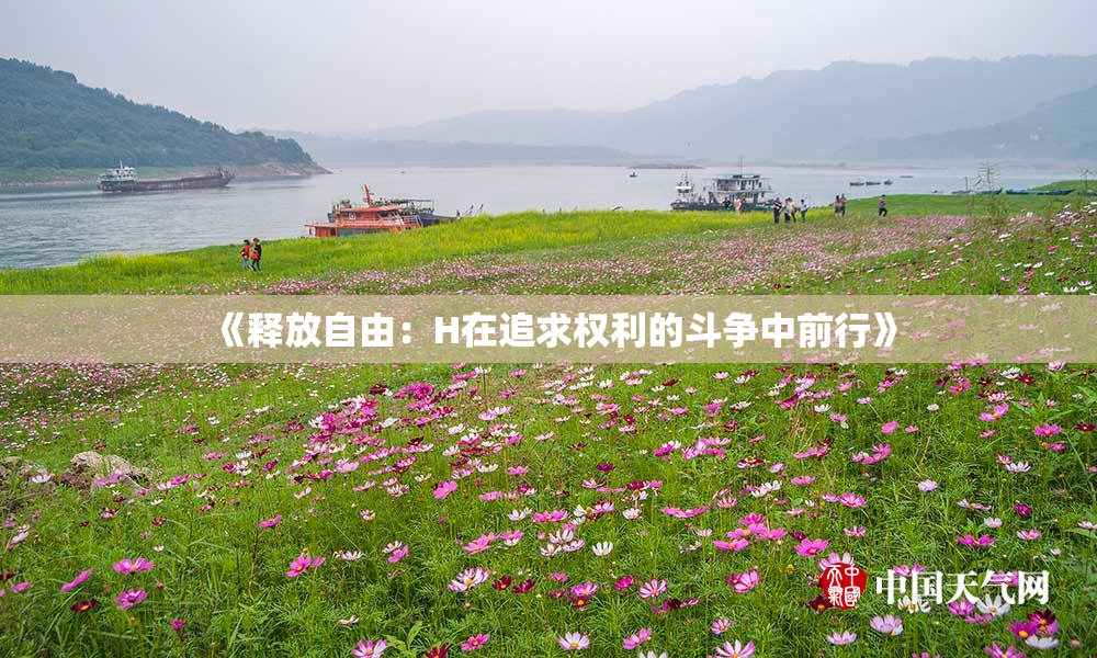 《释放自由：H在追求权利的斗争中前行》